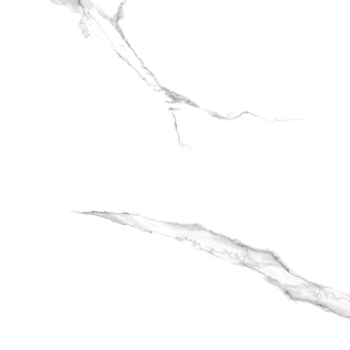 Statuario 120x120 cm - Full Lap